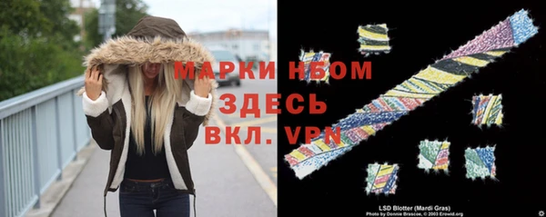 не бодяженный Новодвинск