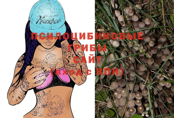 apvp Новозыбков