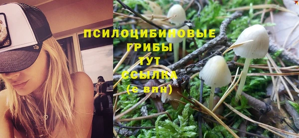 не бодяженный Новодвинск