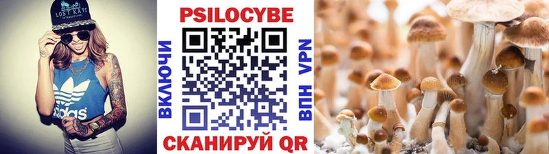 Купить закладки  Старая Купавна  Псилоцибиновые грибы мицелий 