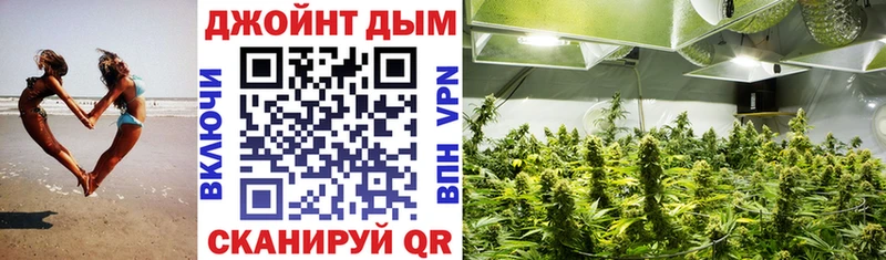 Шишки марихуана White Widow Старая Купавна